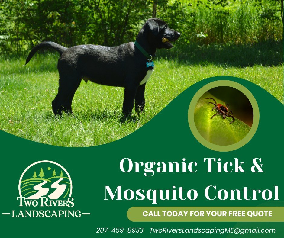 Two Rivers Landscaping Facebook ad