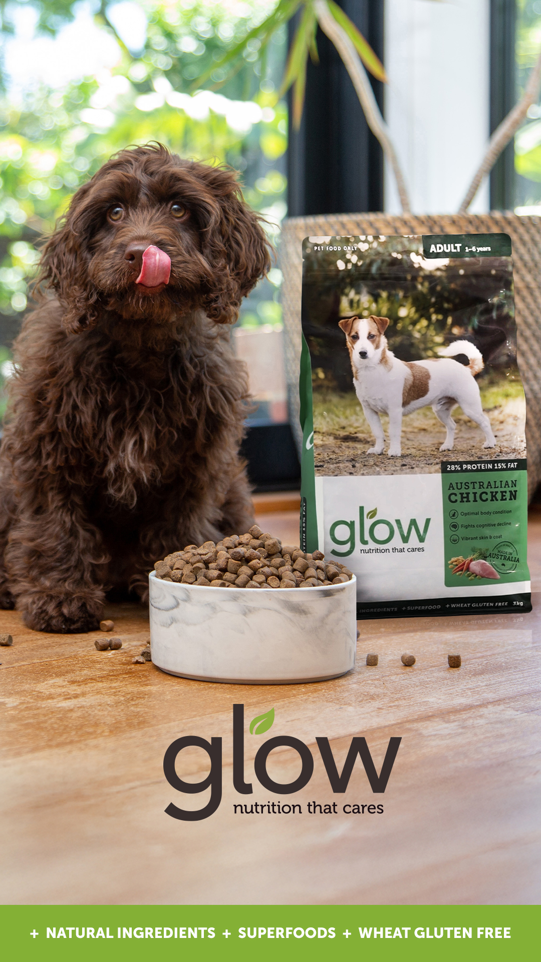 Petstock Facebook ad