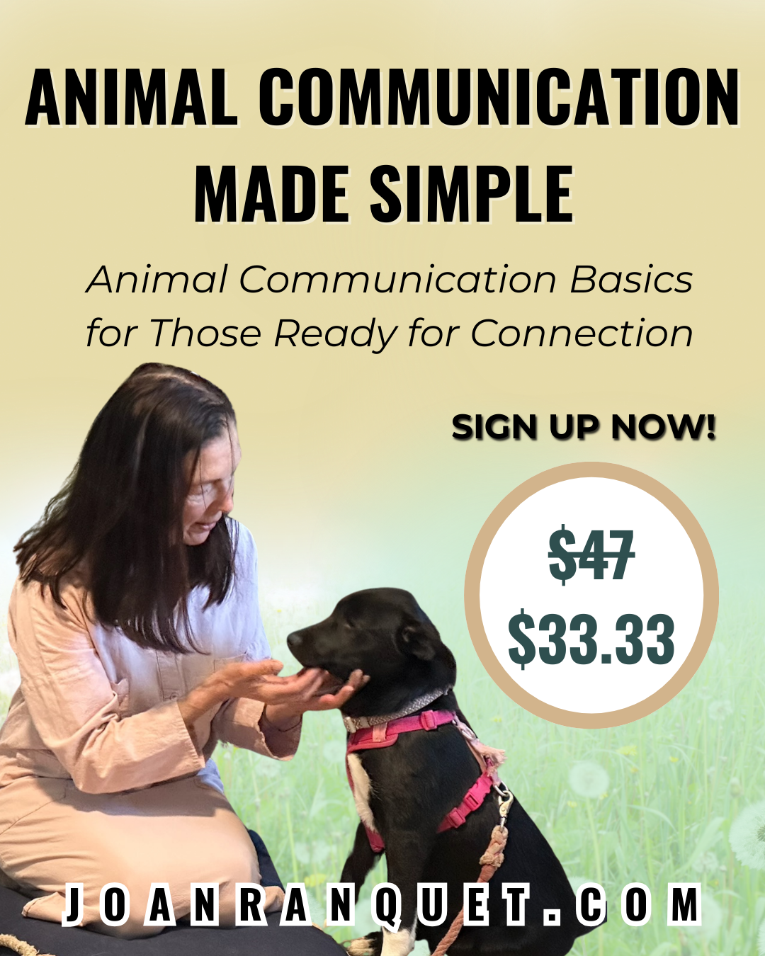 Joan Ranquet's Communication With All Life University Facebook ad