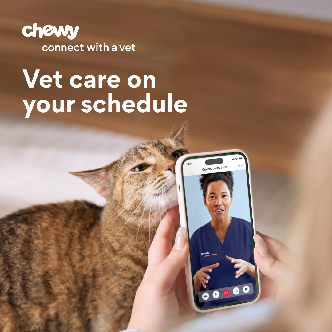 Chewy Facebook ad
