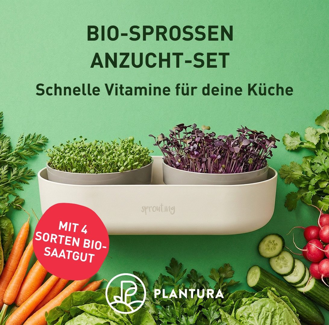 Plantura Facebook ad
