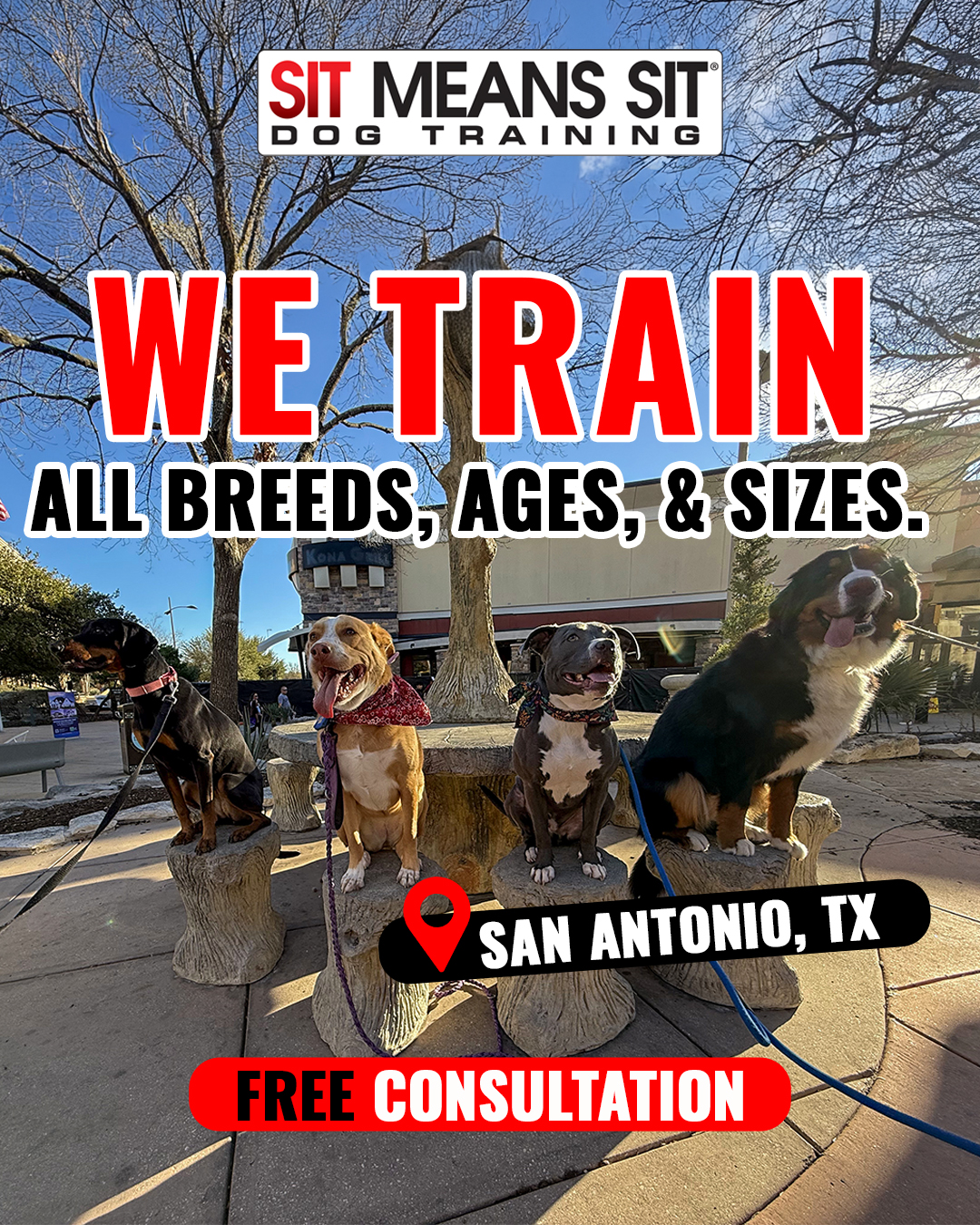Sit Means Sit San Antonio Facebook ad from Jul 15, 2026