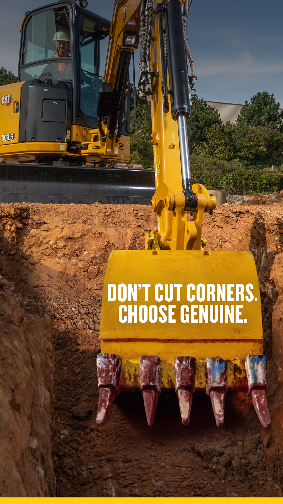 Cat Construction Facebook ad