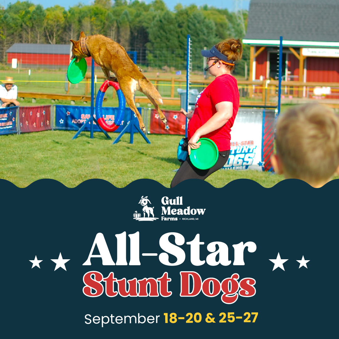 Gull Meadow Farms Facebook ad: All Star Stunt Dog Show @ Gull Meadow Farms