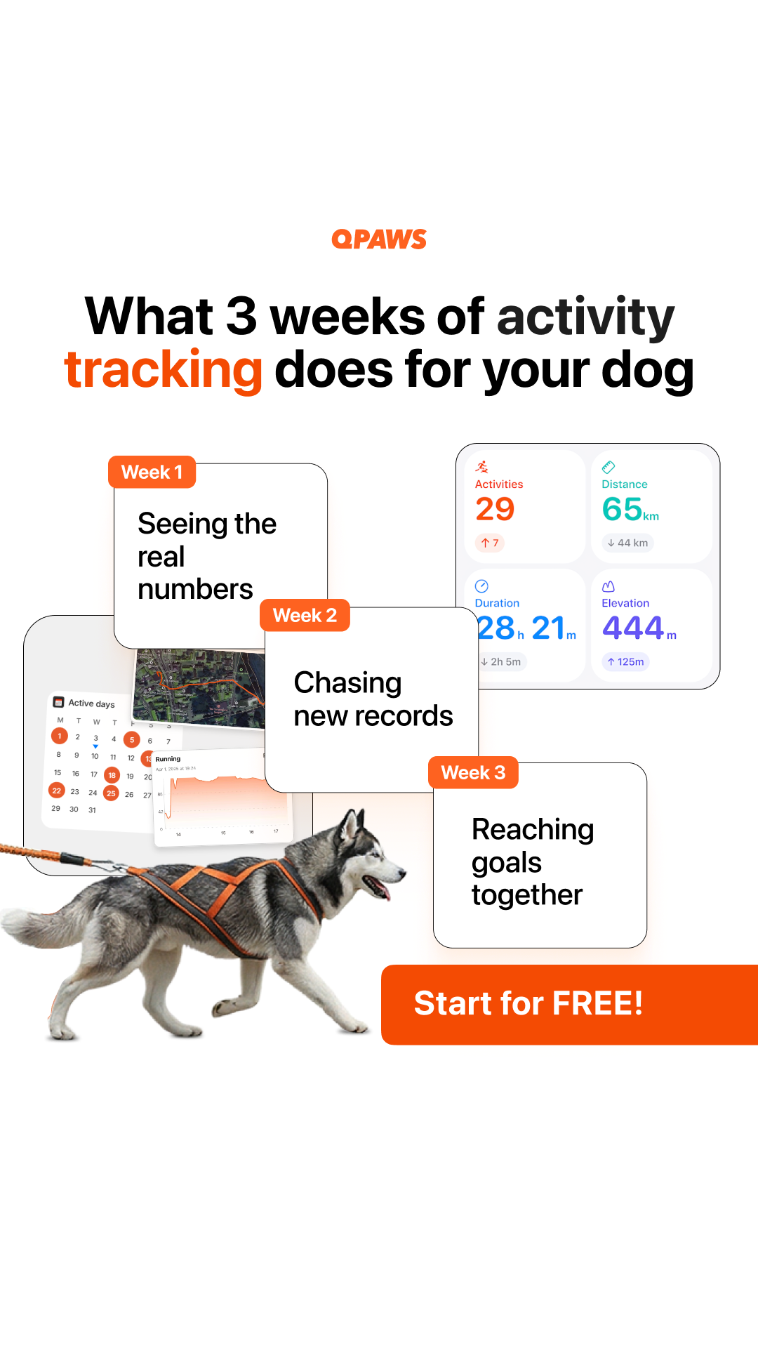 QPAWS Facebook ad