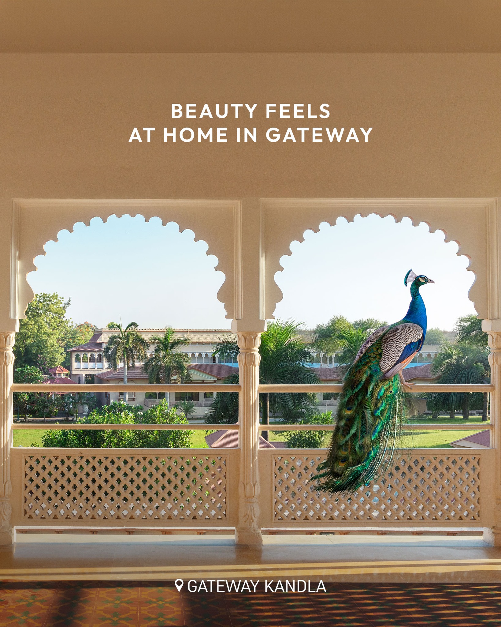 Gateway Hotels Facebook ad: Peacocks love our resorts.