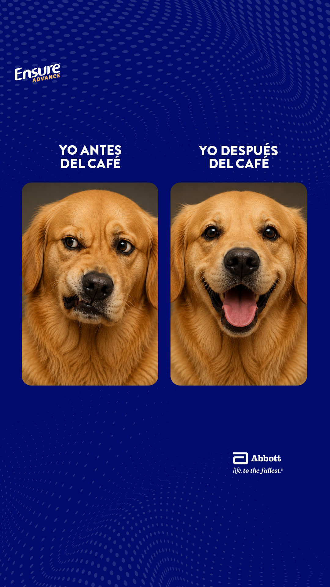 Ensure Latinoamérica Facebook ad