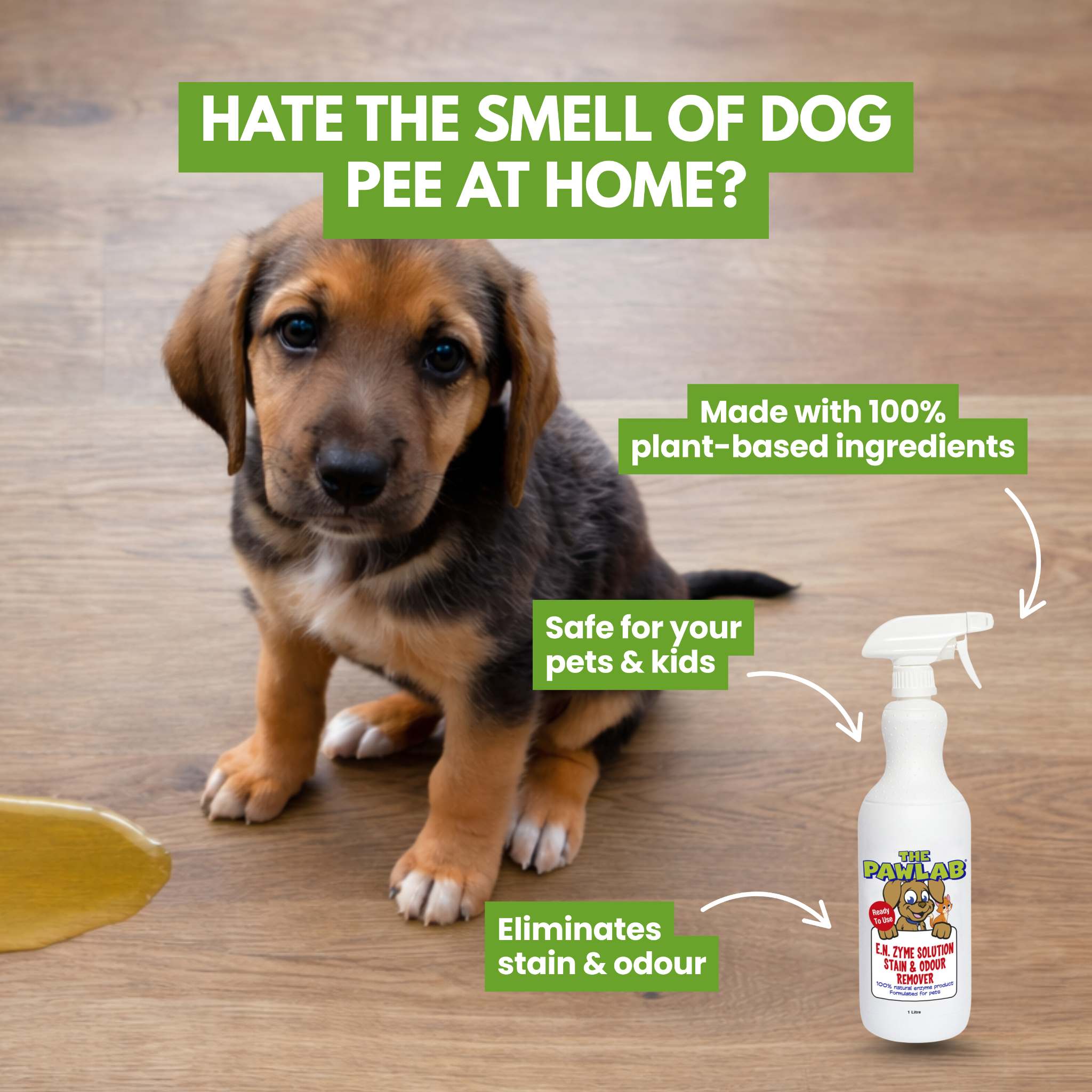 Pawlab Facebook ad