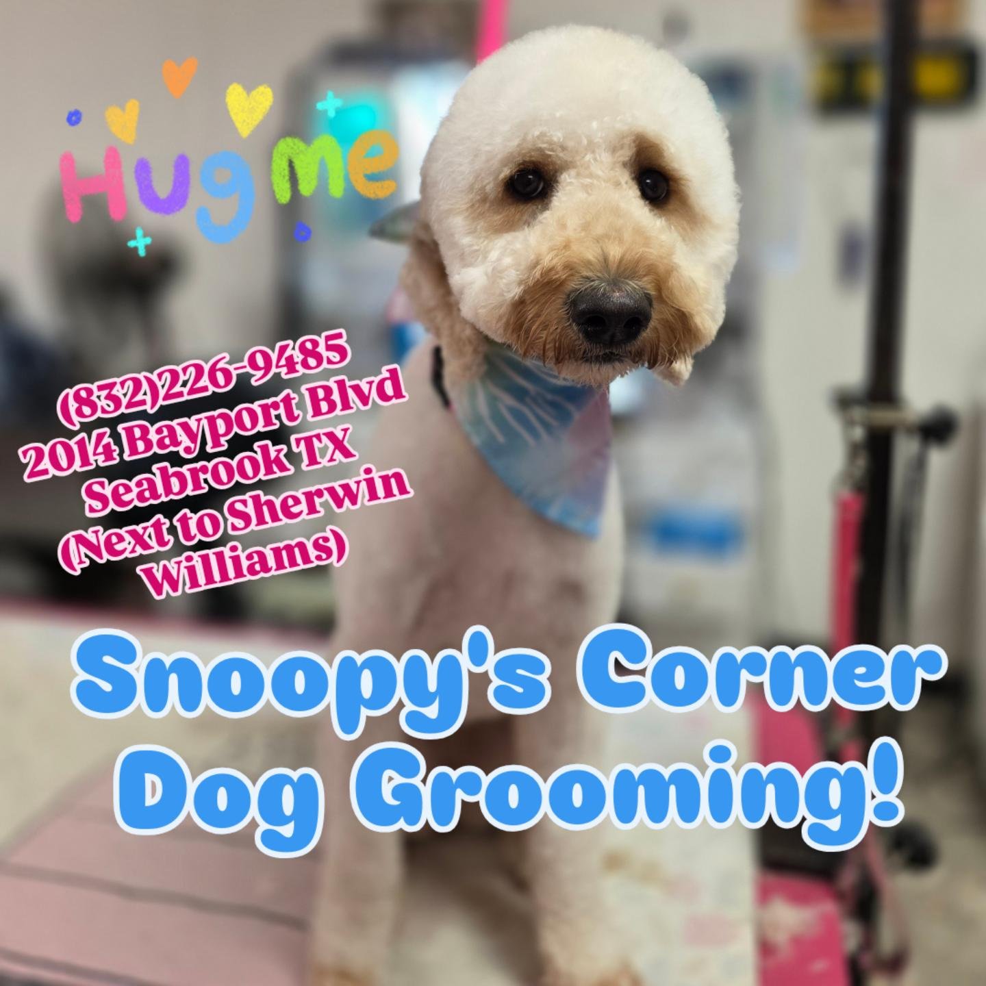 Snoopy's Corner Dog Grooming Facebook ad