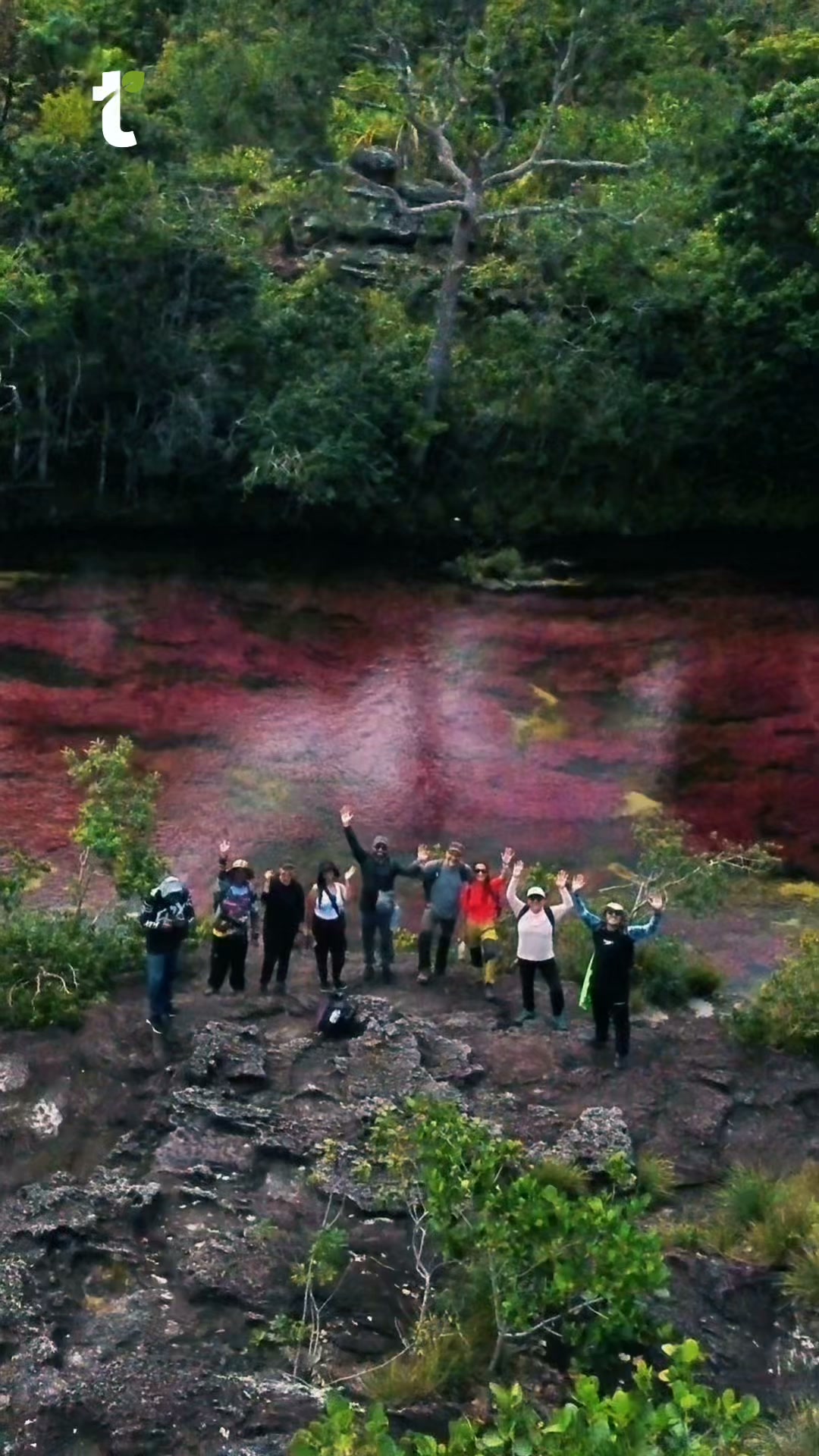 travelgreen.com.co Facebook ad: ¡Vive la magia de Caño Cristales!