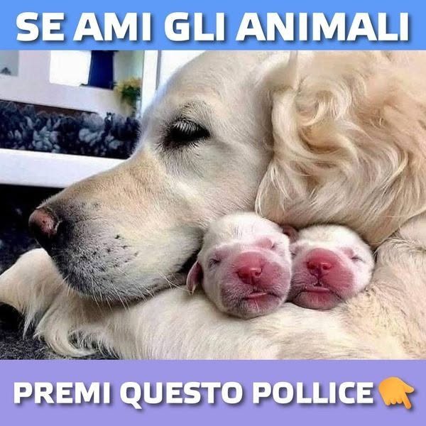 Notizie e Storie di Vita Facebook ad
