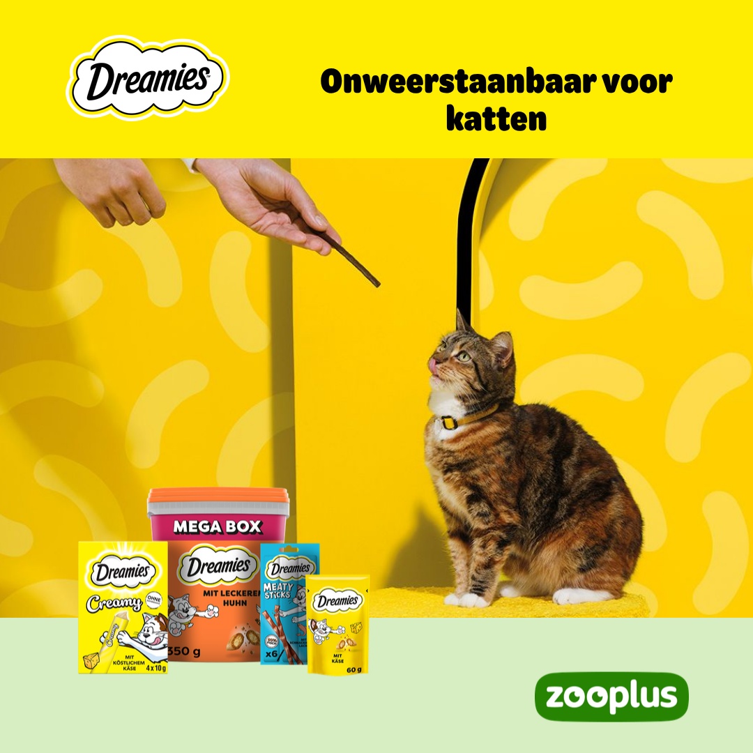 zooplus Facebook ad: DREAMIES