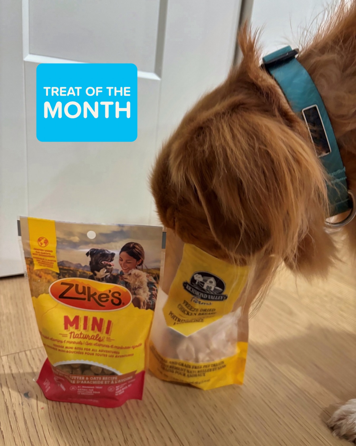 PetSmart Facebook ad