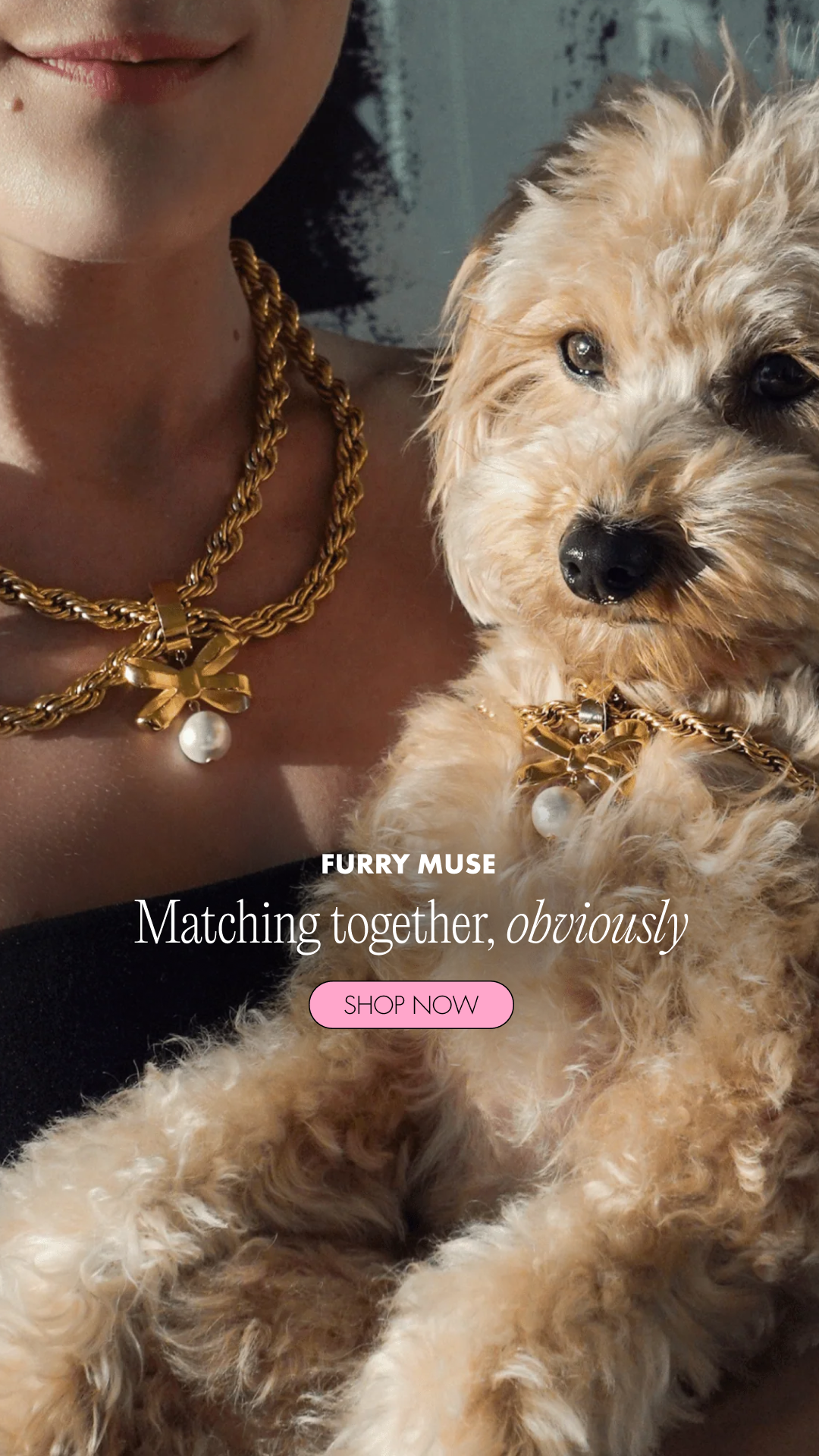 Furry Muse Facebook ad