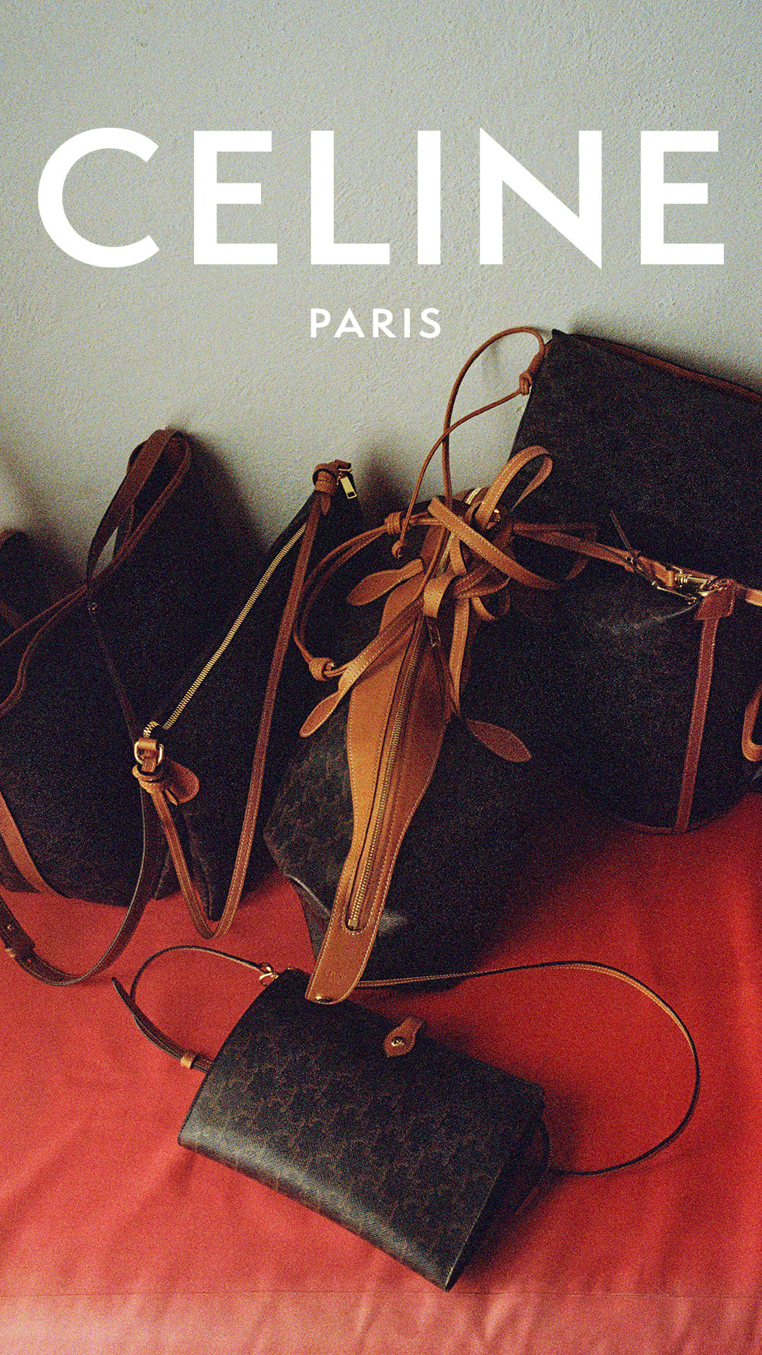 CELINE Facebook ad