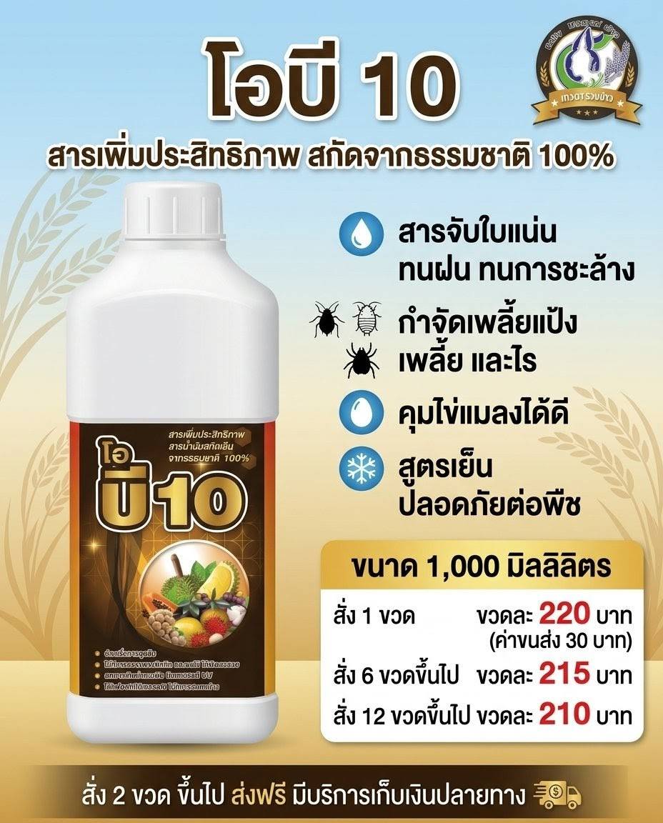 นาดีดี.คอม Facebook ad: โปรโมชั่น โอบี 10 จับใบ จับใบ + ไวออยล์ สูตรเย็น