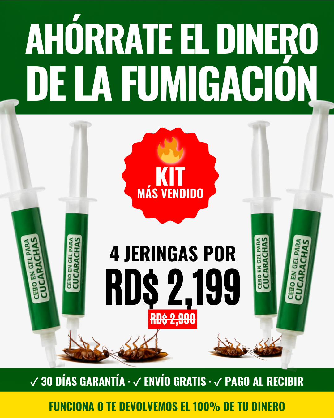 Selva  Facebook ad