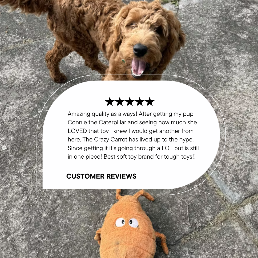 Pals for Paws Facebook ad: Fun dog toys inside