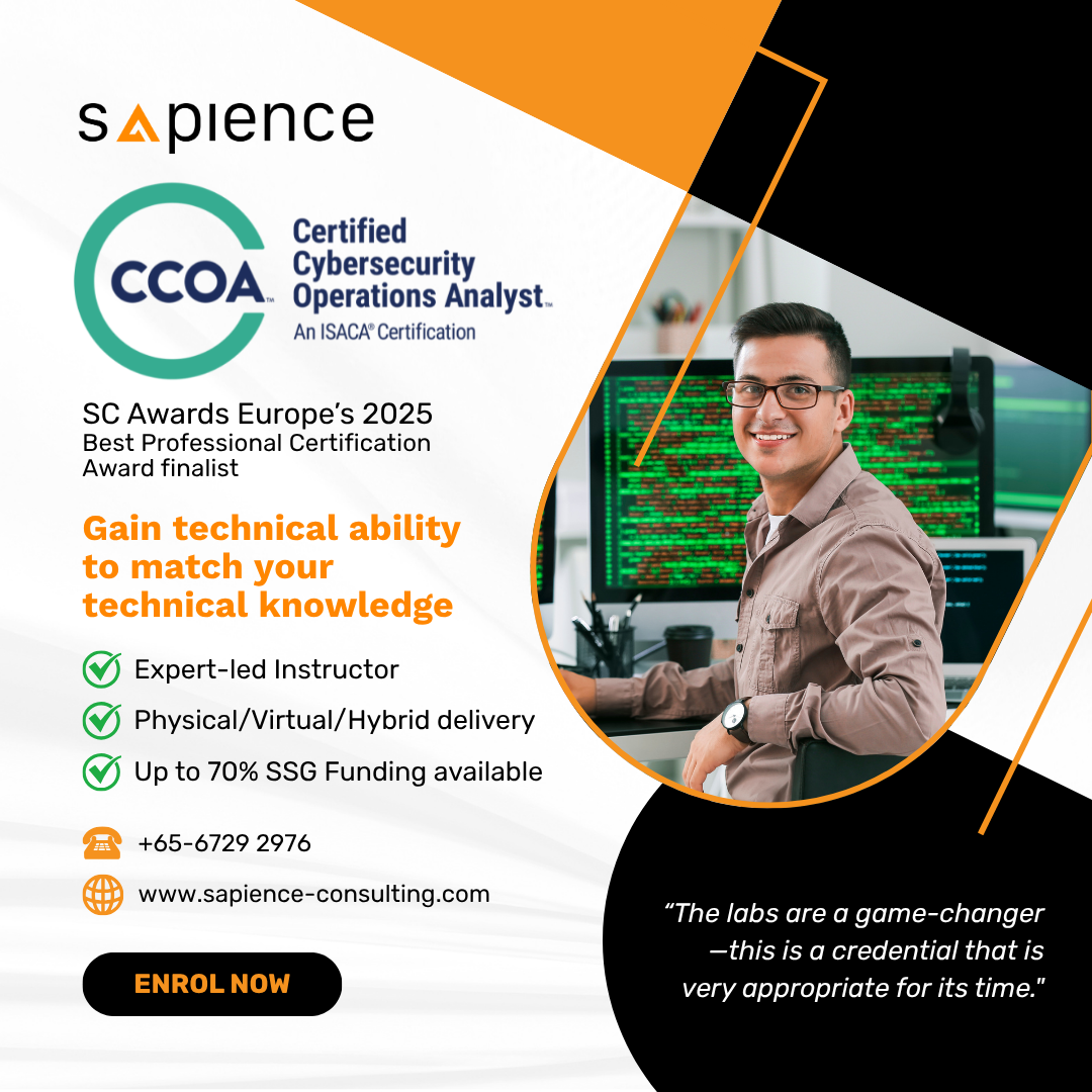 Sapience Consulting Facebook ad