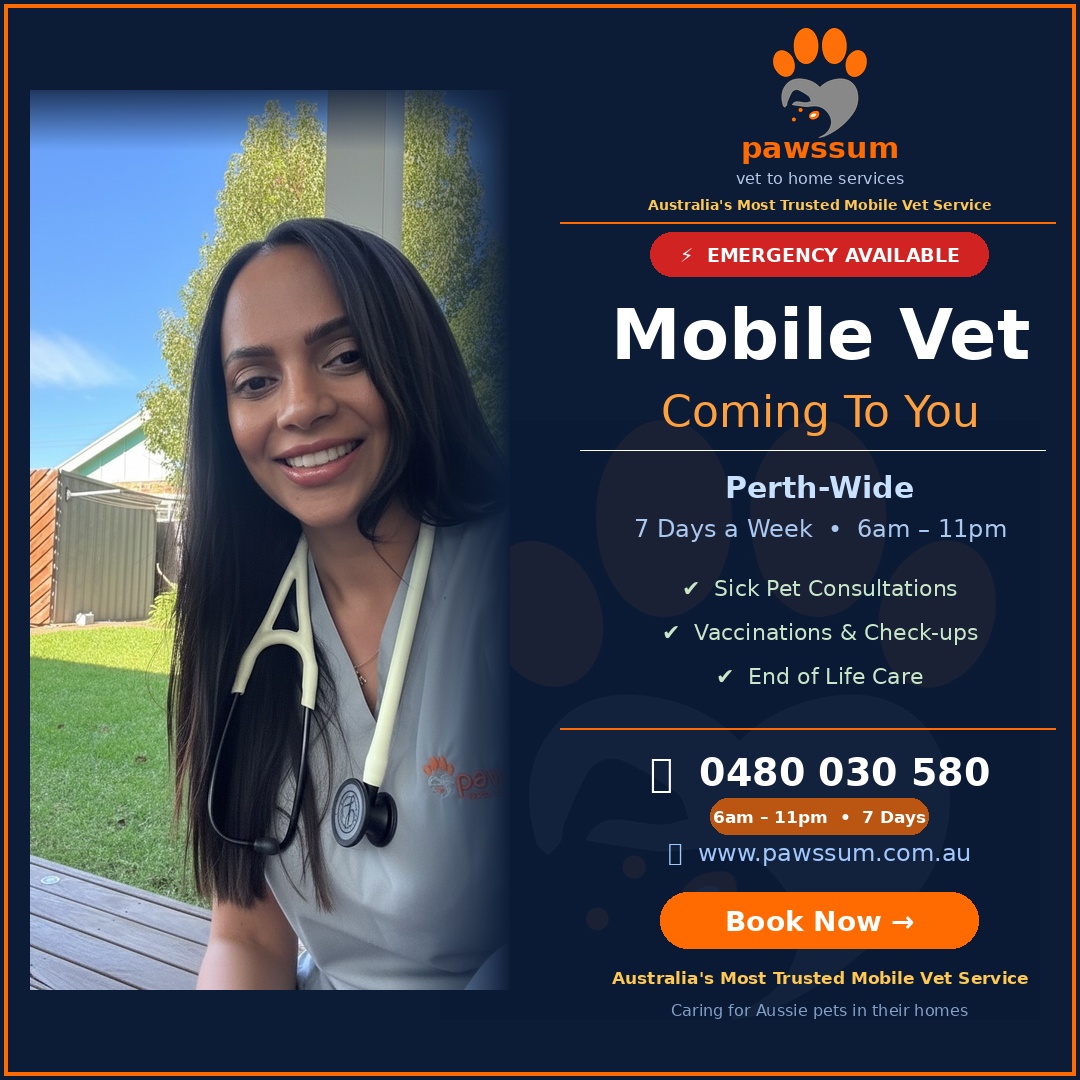 Pawssum - Vet to home services Facebook ad