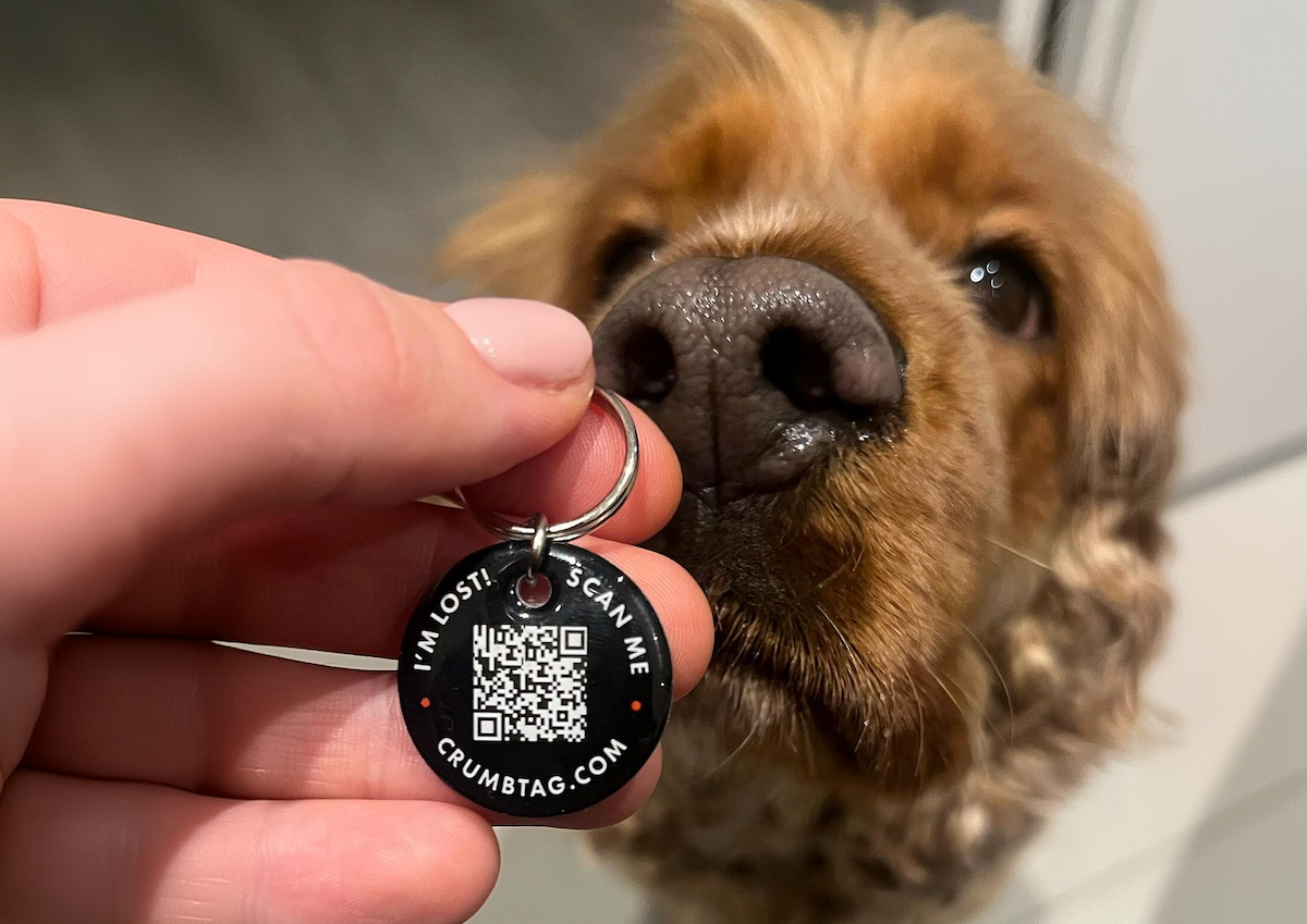 Pet Lifehacks Facebook ad