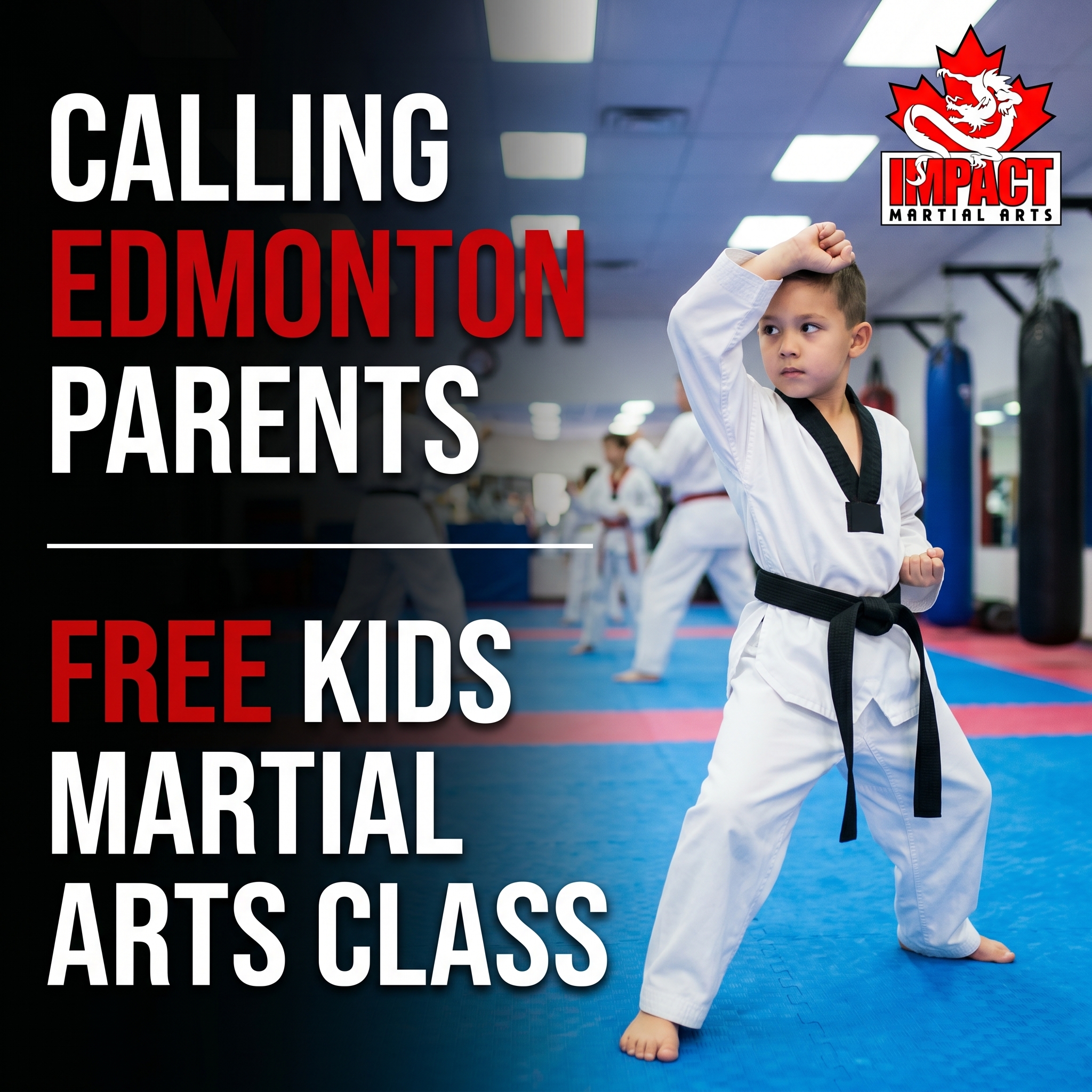 Impact Martial Arts Facebook ad