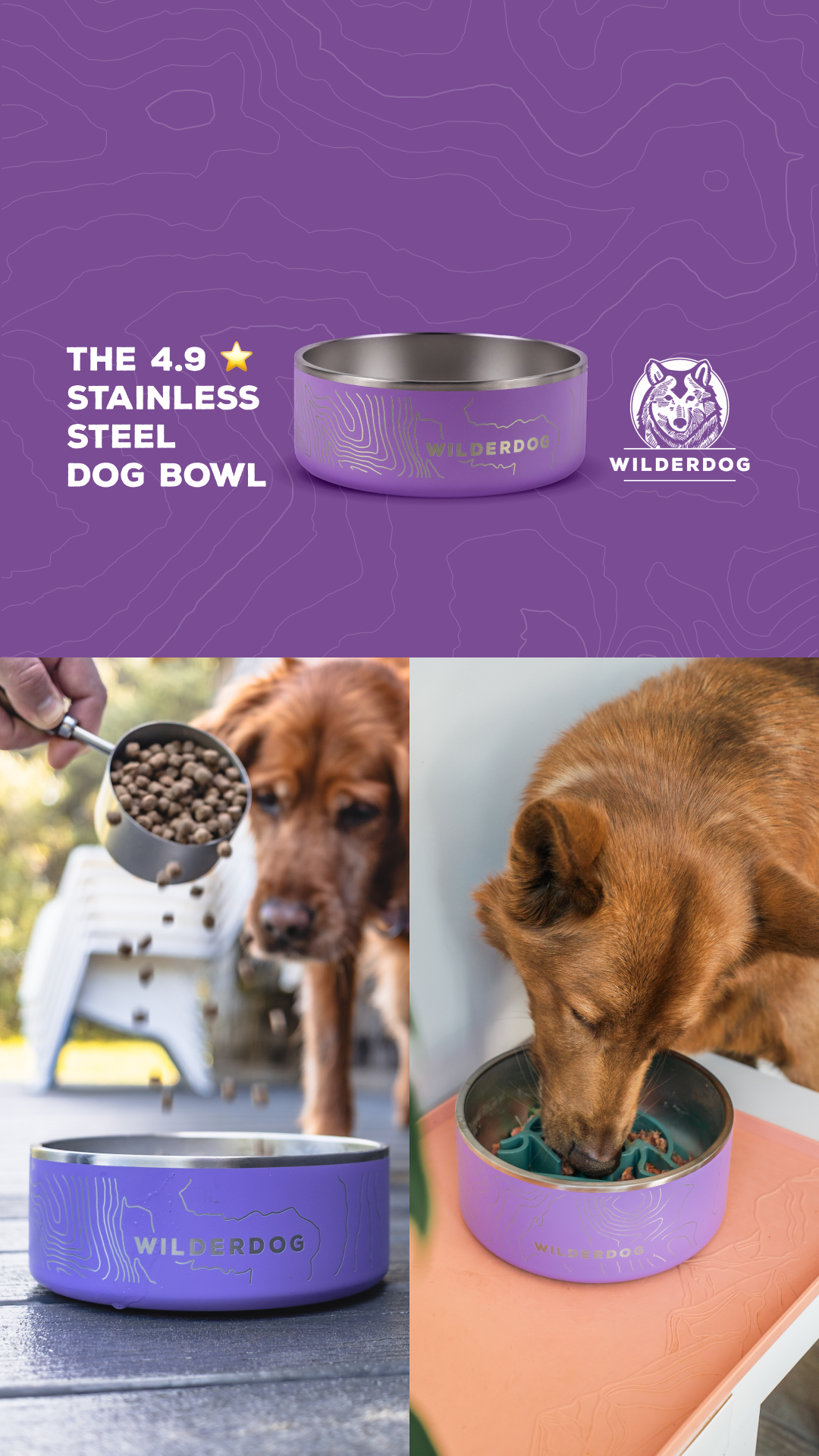 Wilderdog Facebook ad: Stainless Steel Dog Bowl