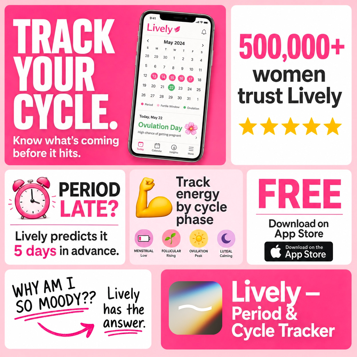 Lively Cycle Facebook ad