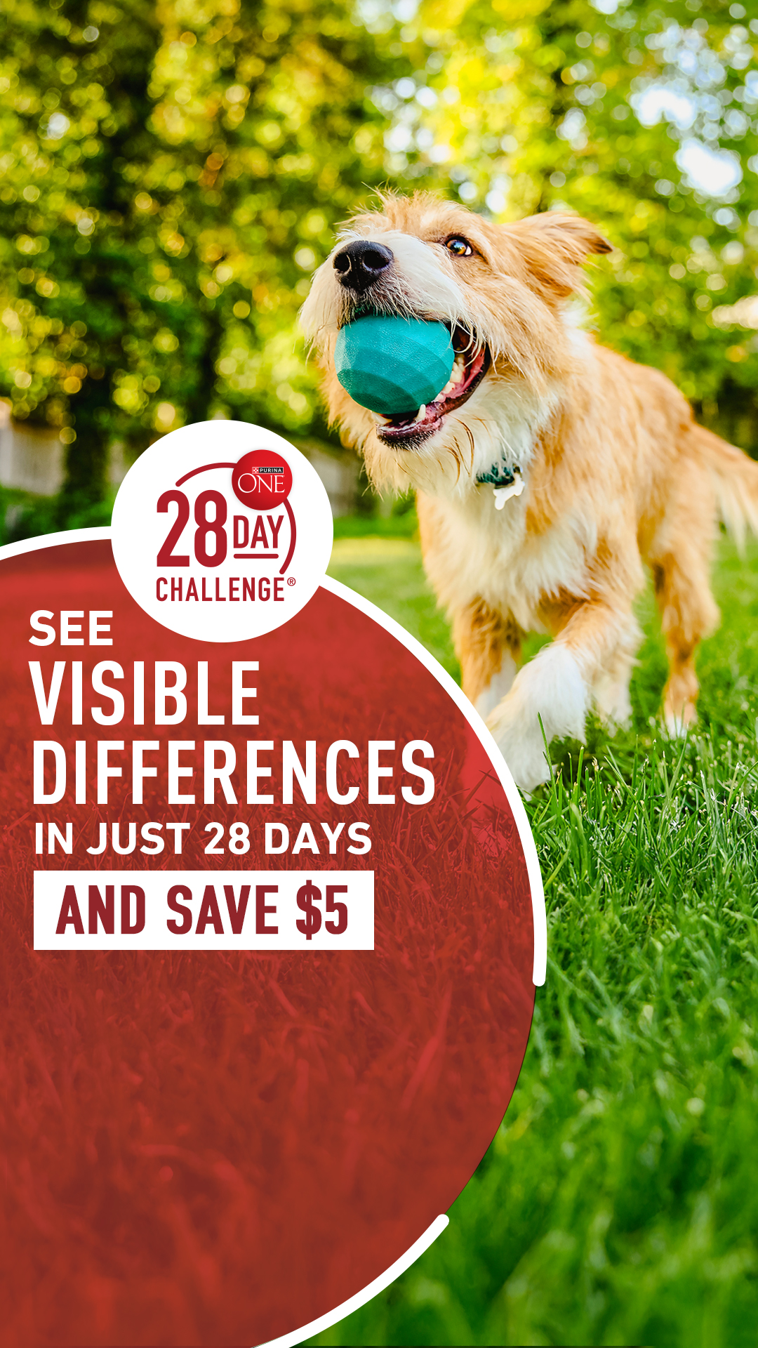 Purina ONE Facebook ad from Jun 8, 2026