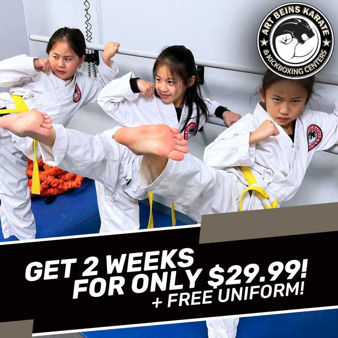 Art Beins Karate Facebook ad