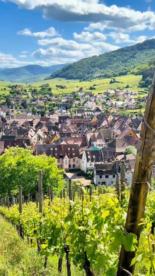 AlsaceWines Facebook ad: Ever wondered what makes Alsace wines so unique?