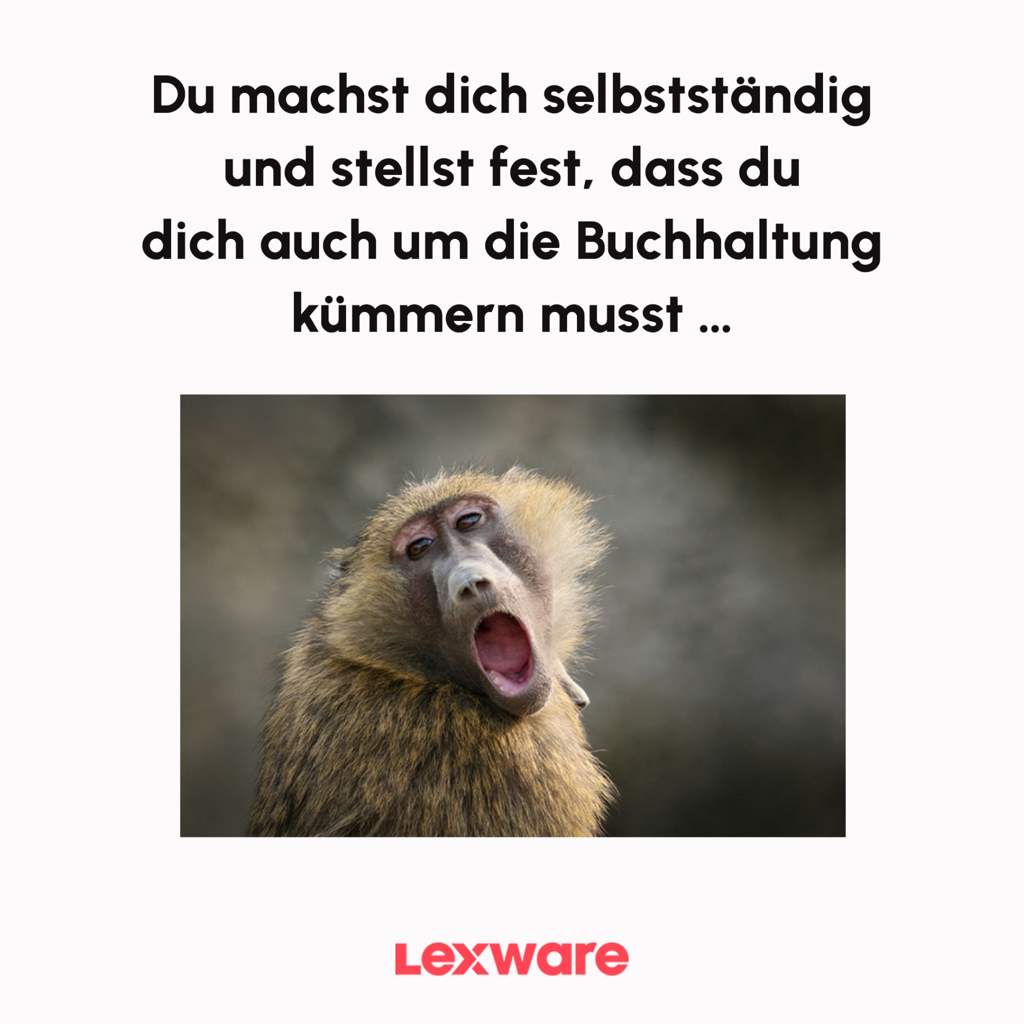 Lexware Facebook ad