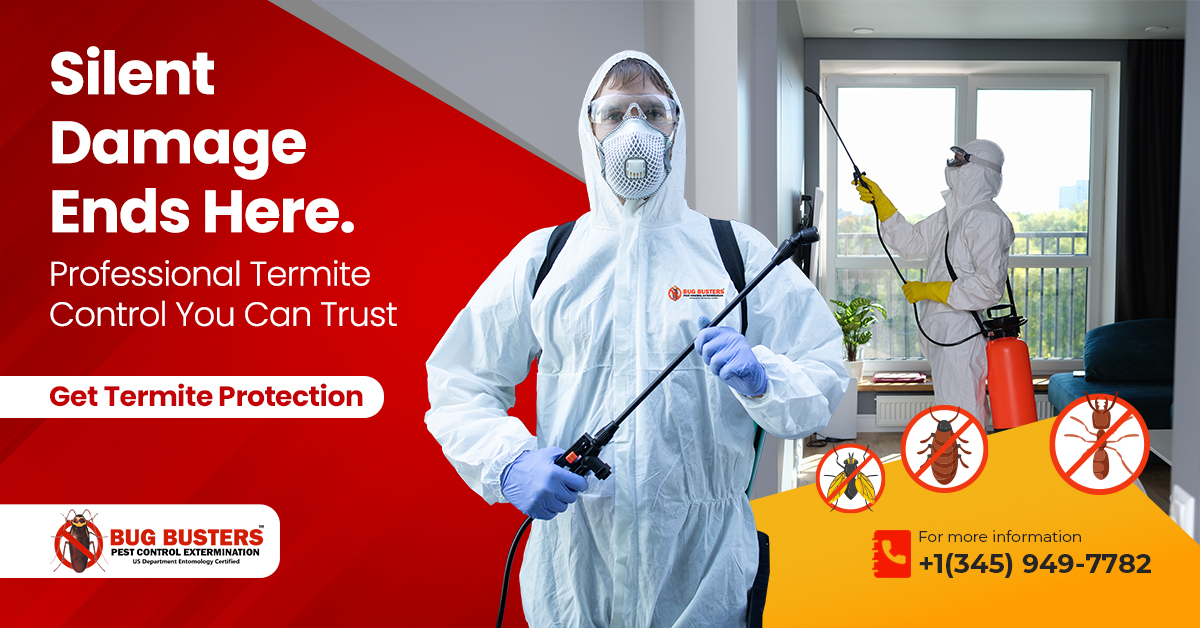 Bug Busters Pest Control Facebook ad from Jun 16, 2026