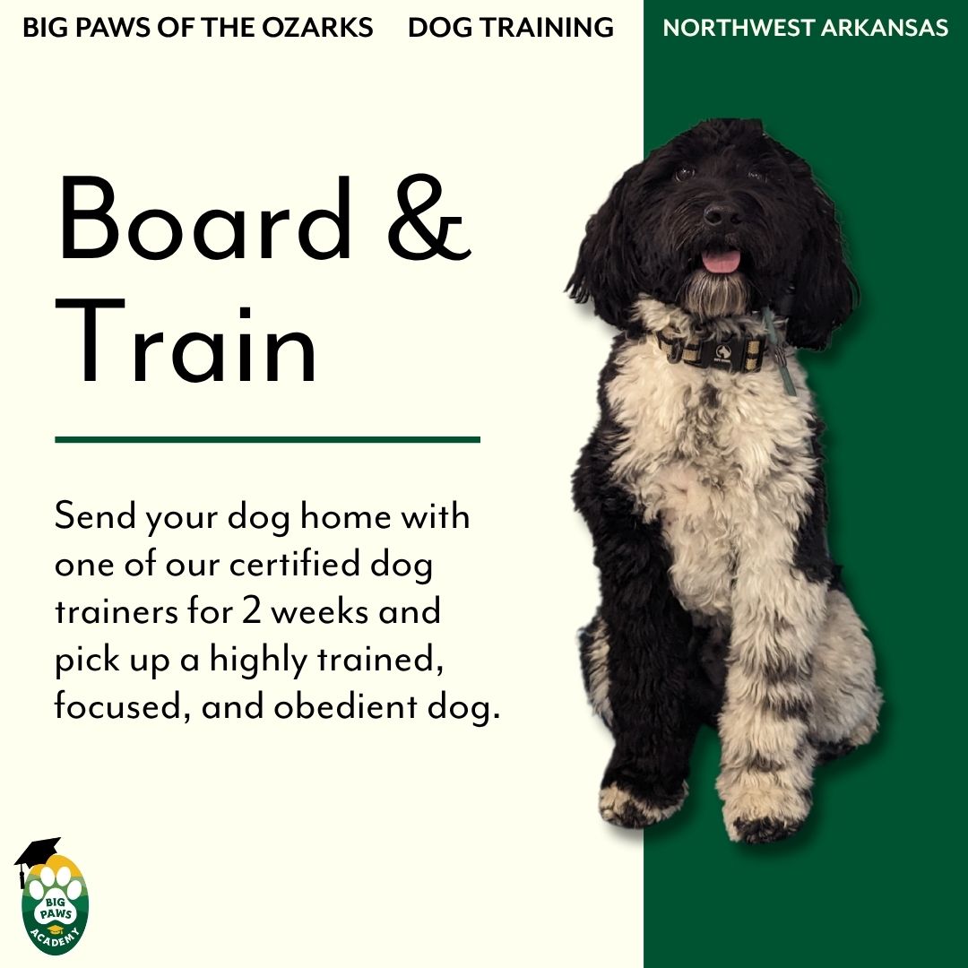Big Paws of The Ozarks Facebook ad: Dog Training | Big Paws Of The Ozarks | Fayetteville
