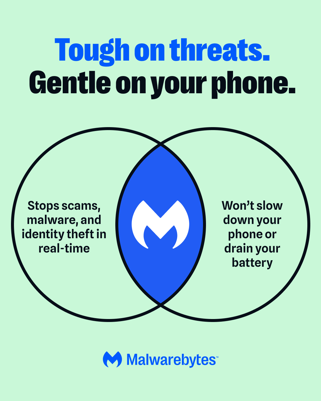 Malwarebytes Facebook ad