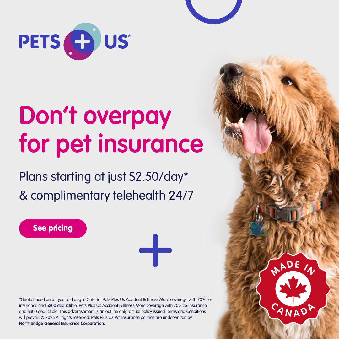 Pets Plus Us Facebook ad