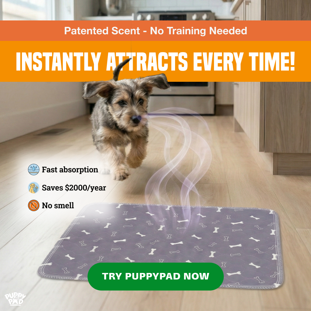 PuppyPad Facebook ad