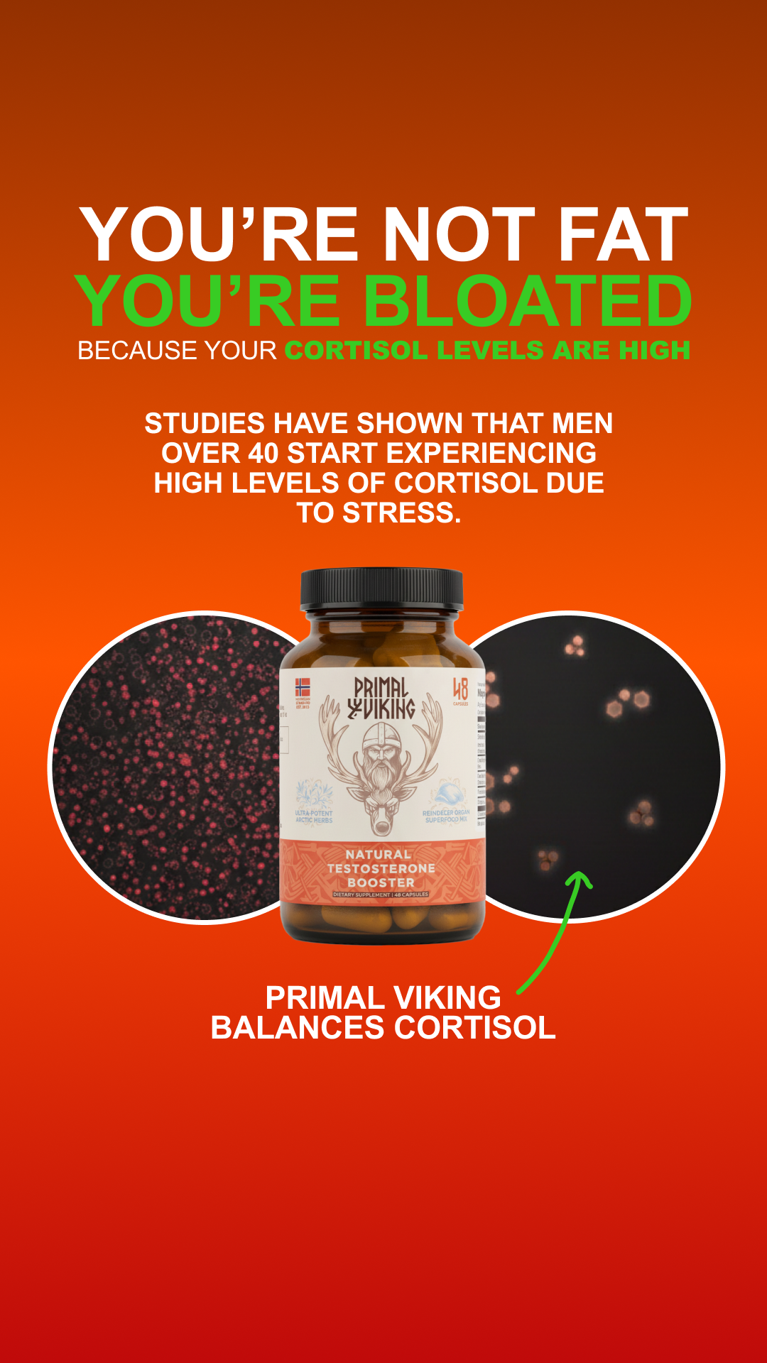 Primal Viking Facebook ad