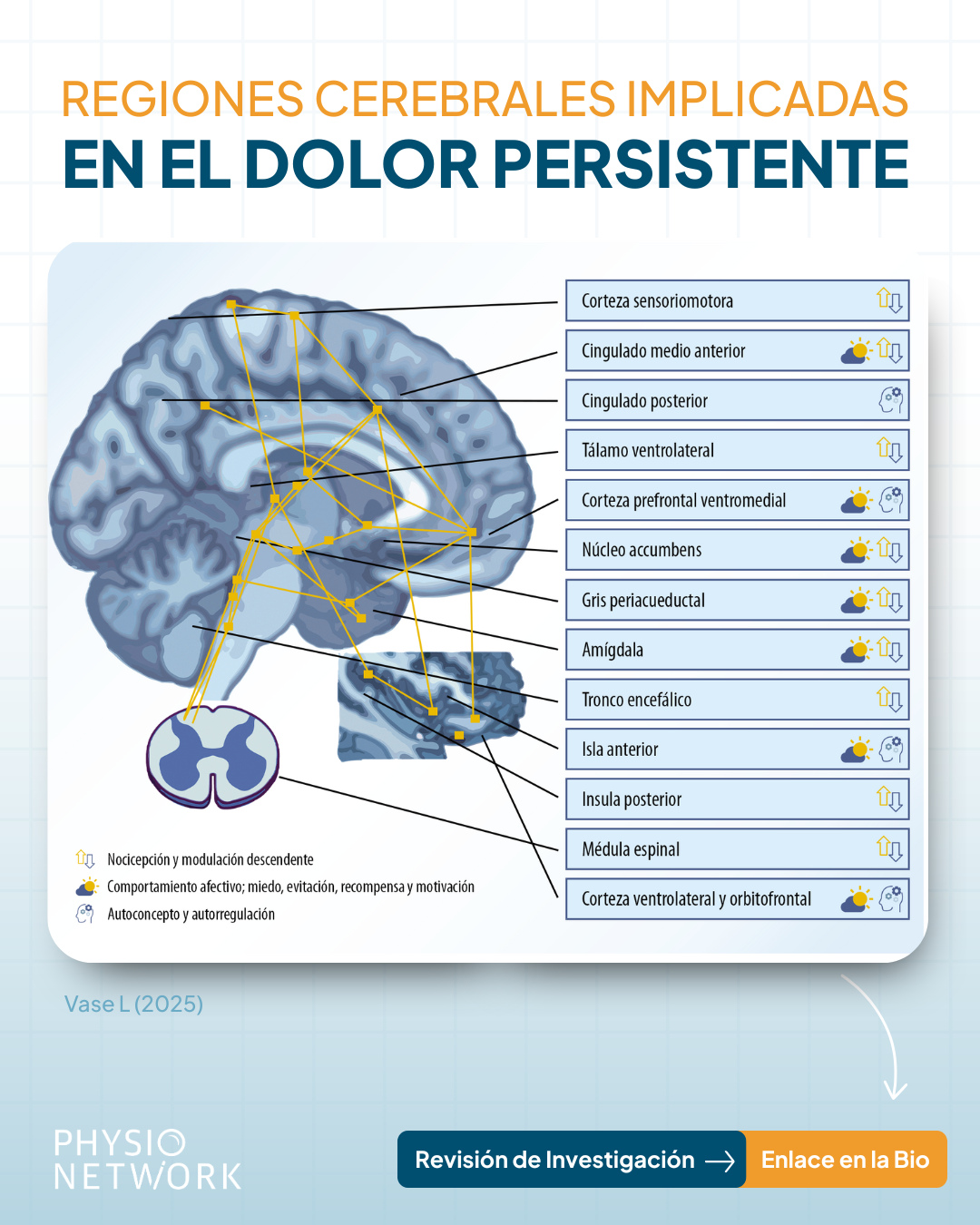 Physio Network Español Facebook ad
