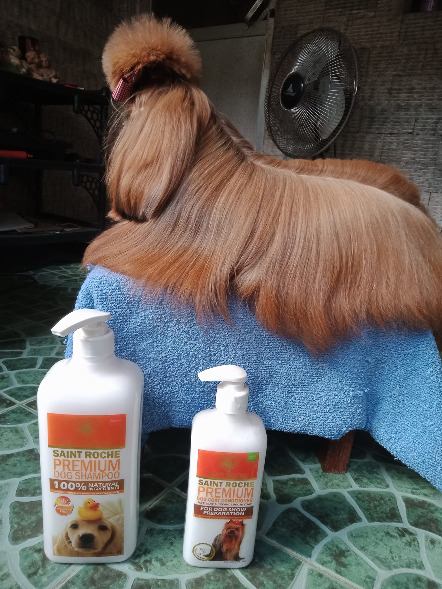 Saint Roche Premium Dog Shampoo Facebook ad