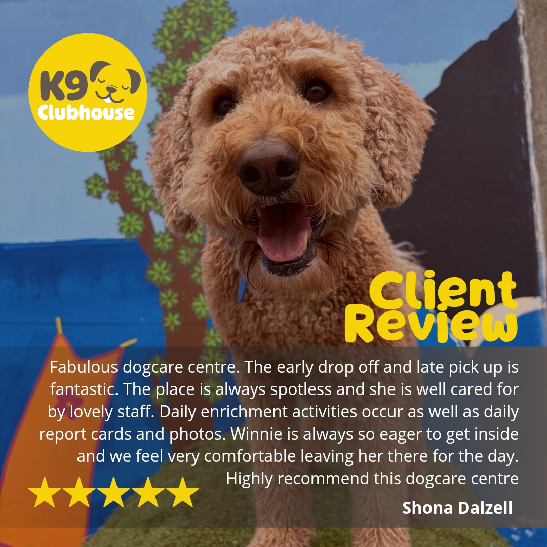 K9 Clubhouse Facebook ad: Doggie Daycare