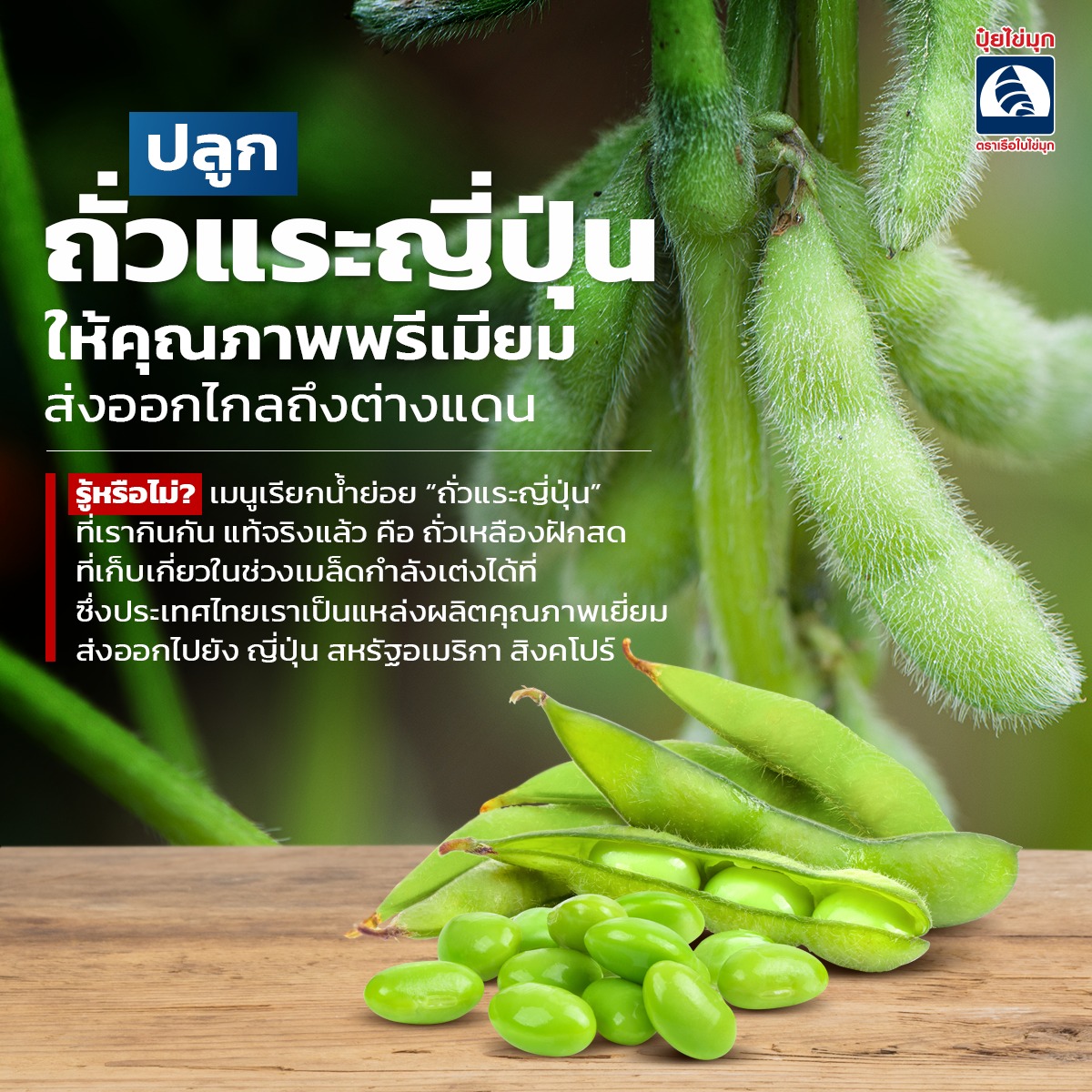 ปุ๋ยไข่มุก เกษตรพันล้าน Facebook ad: รู้หรือไม่? เมนูเรียกน้ำย่อยยอดฮิตอย่าง ถั่วแระญี่ปุ่น…