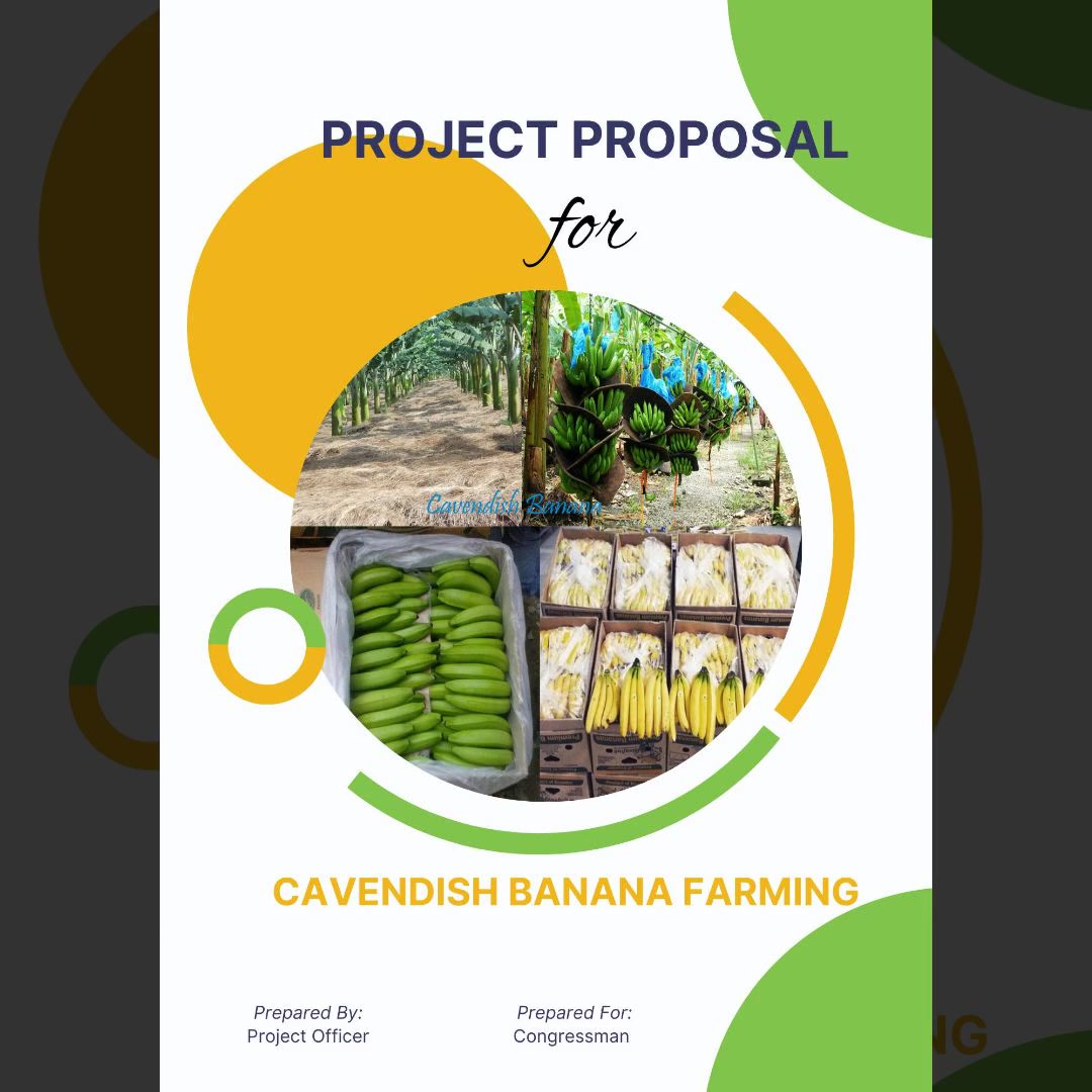 Dynamis Empresas Facebook ad: READY MADE PROJECT PROPOSALS (EDITABLE)