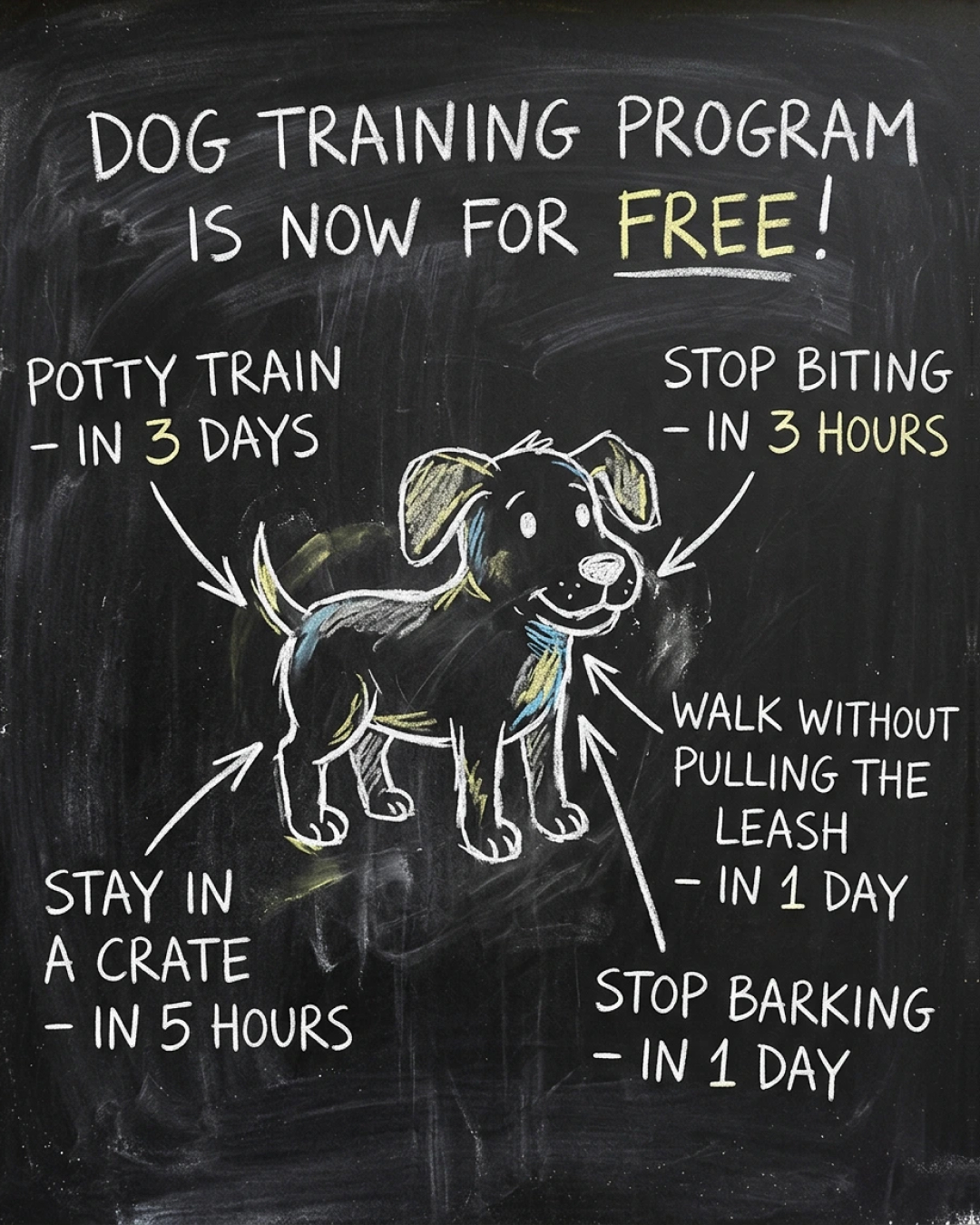 Ben Your Puppy Trainer Facebook ad