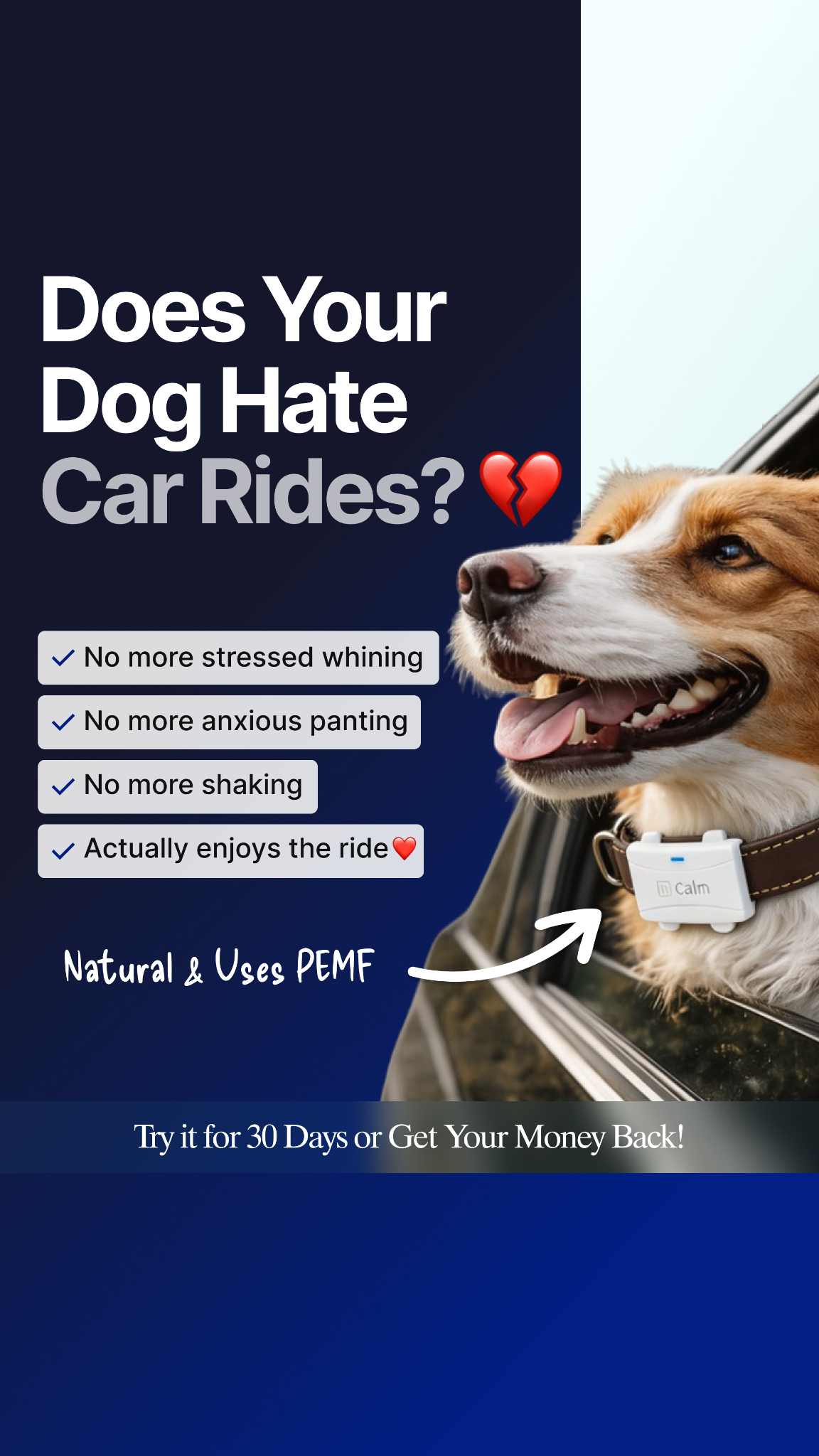Helio Pet Facebook ad
