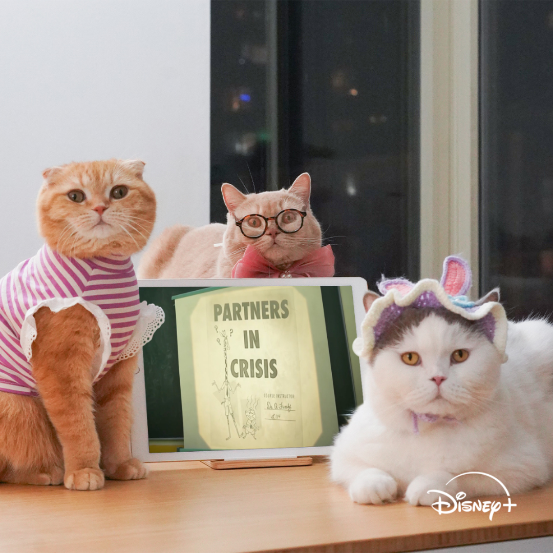 Disney+ Facebook ad
