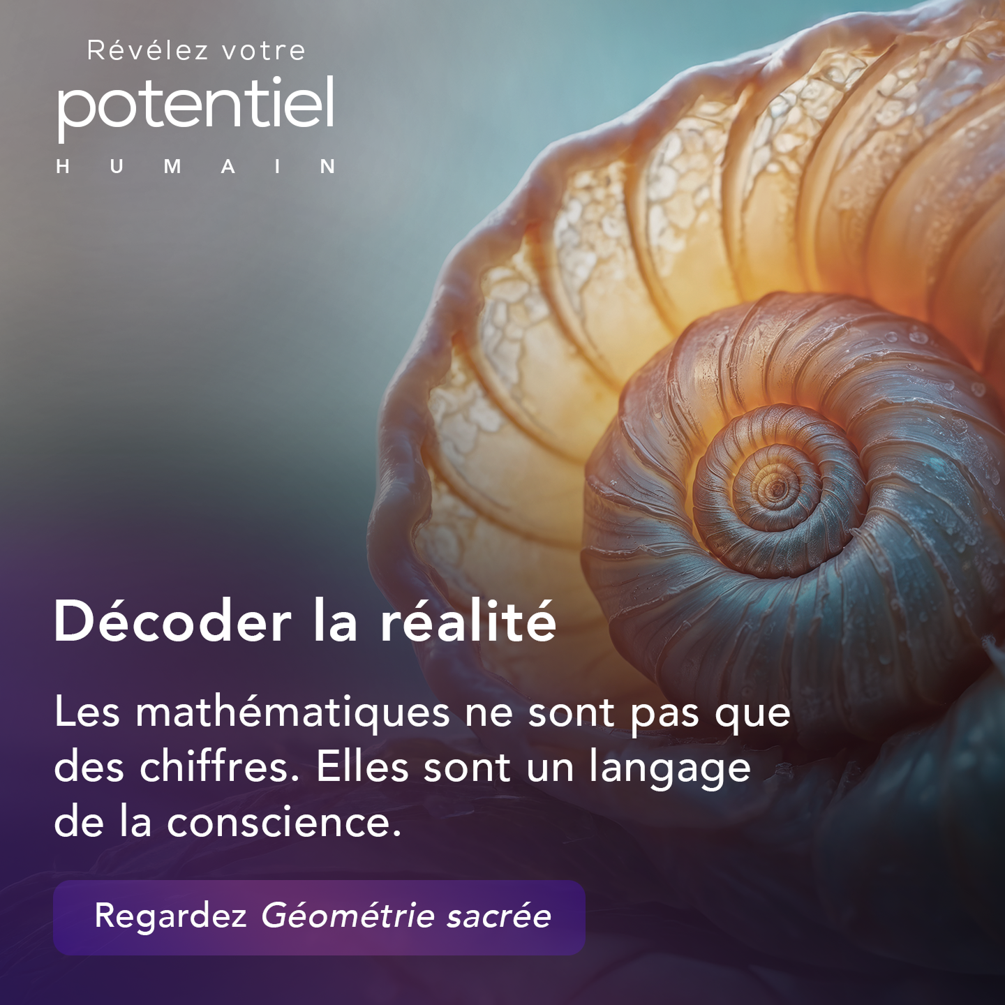 Nous Sommes Gaia Facebook ad