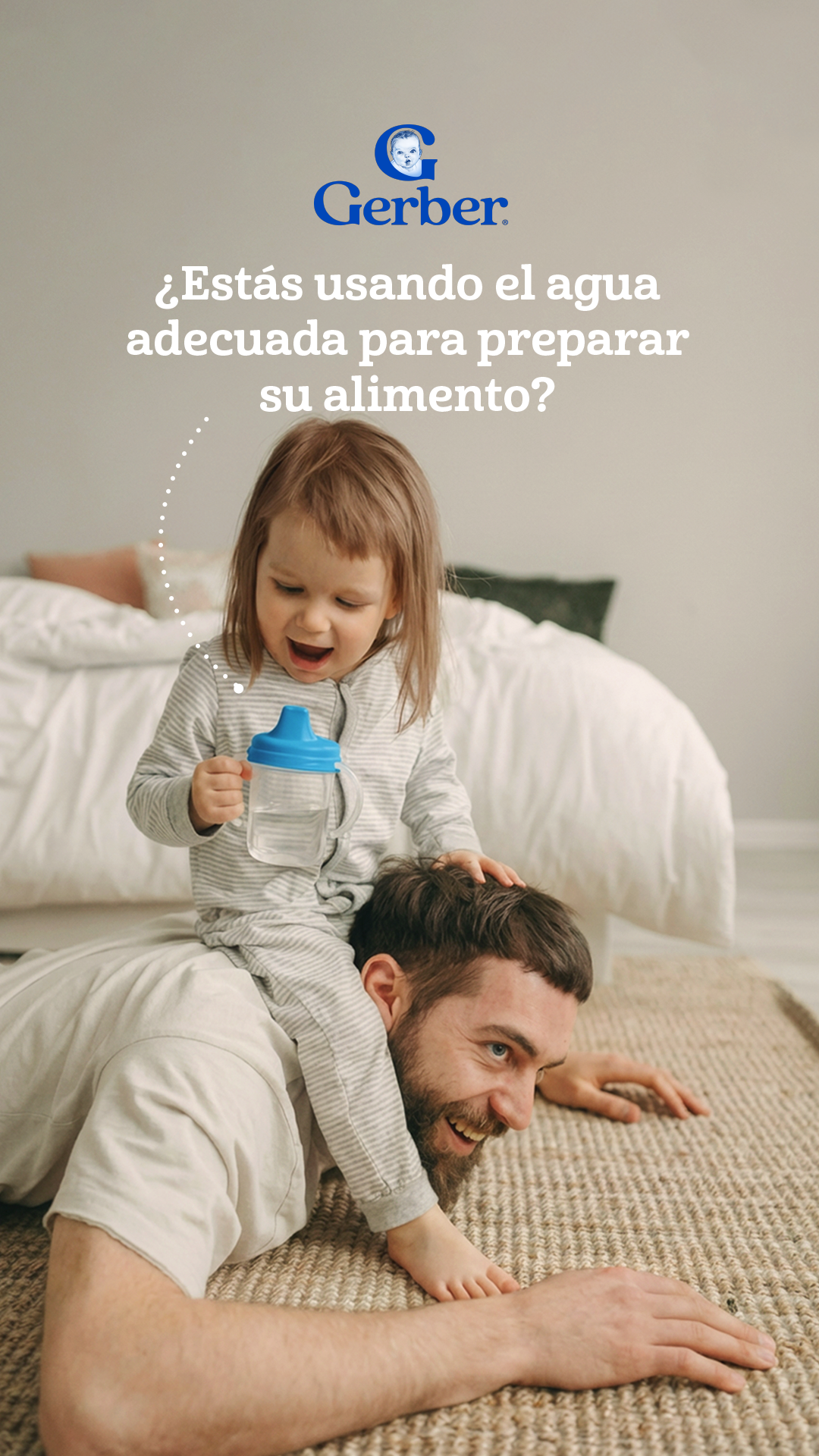 Gerber México Facebook ad