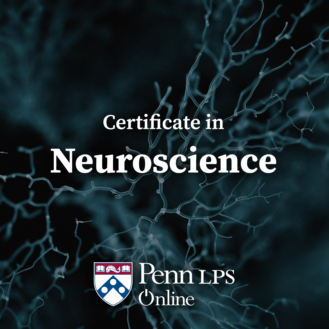 Penn LPS Online Facebook ad