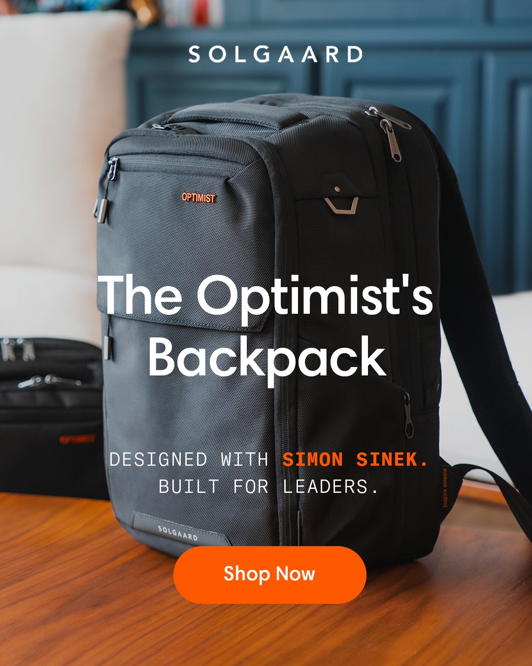 Simon Sinek Facebook ad